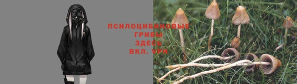 дмт Баксан