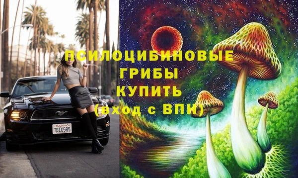 дмт Баксан