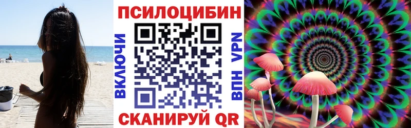 Псилоцибиновые грибы Psilocybe  Бугуруслан 